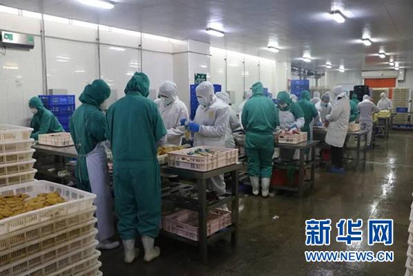 多宝电竞·(中国区)官方网站