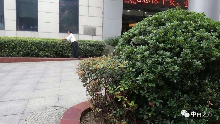 多宝电竞·(中国区)官方网站