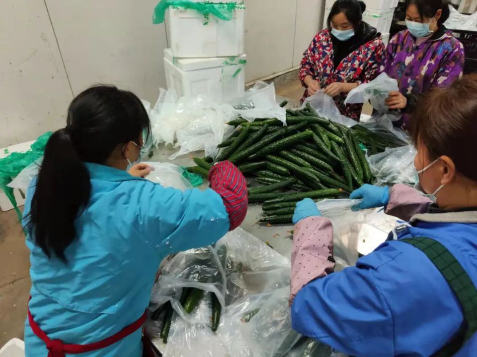 多宝电竞·(中国区)官方网站