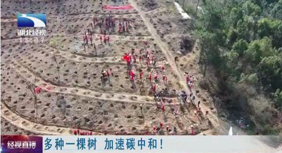 多宝电竞·(中国区)官方网站
