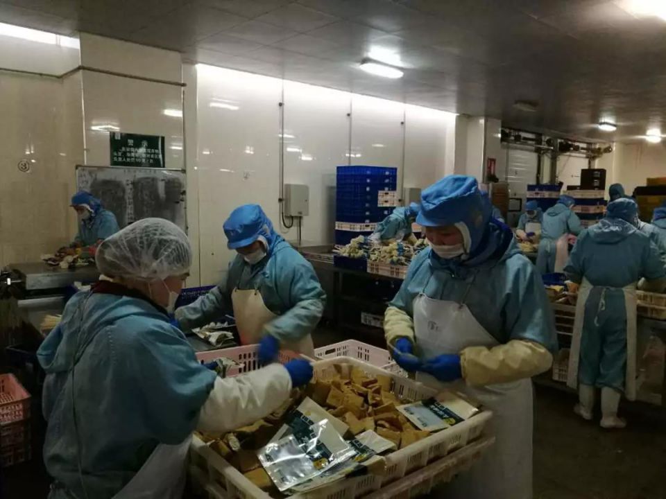 多宝电竞·(中国区)官方网站