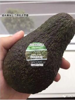 多宝电竞·(中国区)官方网站