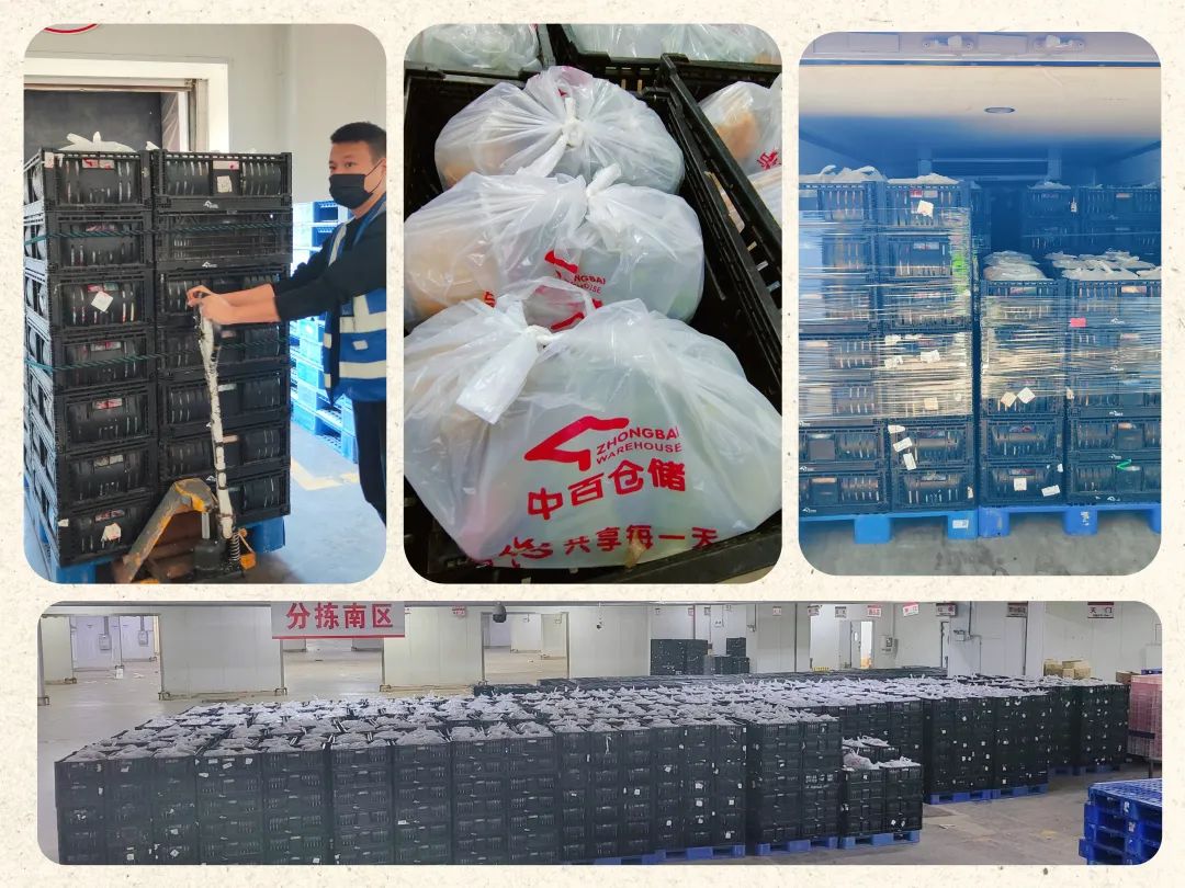 多宝电竞·(中国区)官方网站
