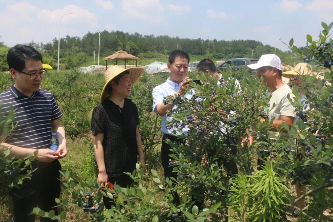 多宝电竞·(中国区)官方网站