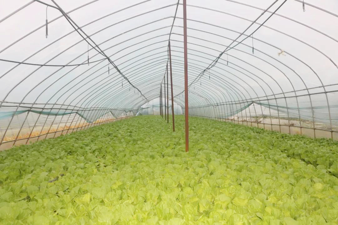 多宝电竞·(中国区)官方网站