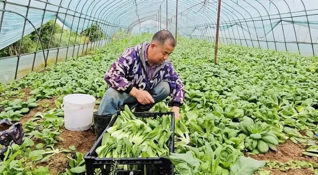 多宝电竞·(中国区)官方网站